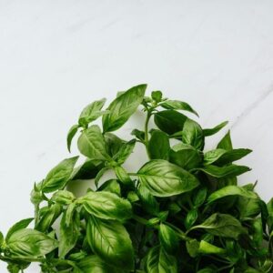 Albahaca - Mayorista (1 KG)