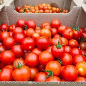 Tomate Cherry Cóctel - Mayorista (Caja 5 KG)
