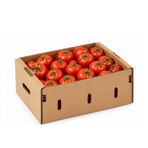 Tomate - Mayorista (Caja 17 KG)