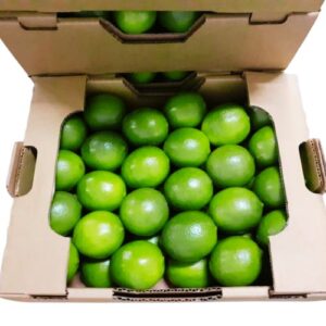 Limón Sutil - Mayorista (Caja 20 KG)