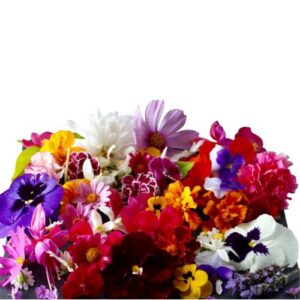 Flores Comestibles - Mayorista (Unidad)
