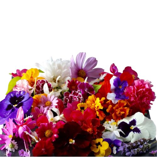 Flores Comestibles - Mayorista (Unidad)