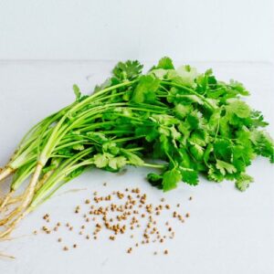 Cilantro - Mayorista (Paquete)