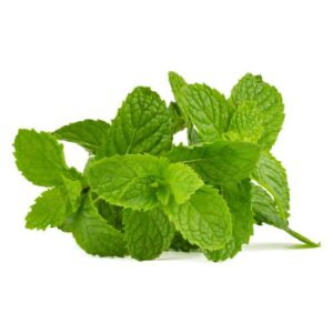 Menta - Mayorista (1 KG)