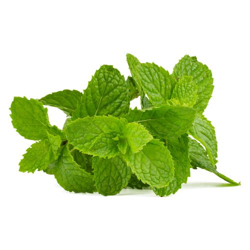 Menta - Mayorista (1 KG)