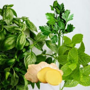 Hierbas Aromáticas y Condimentos